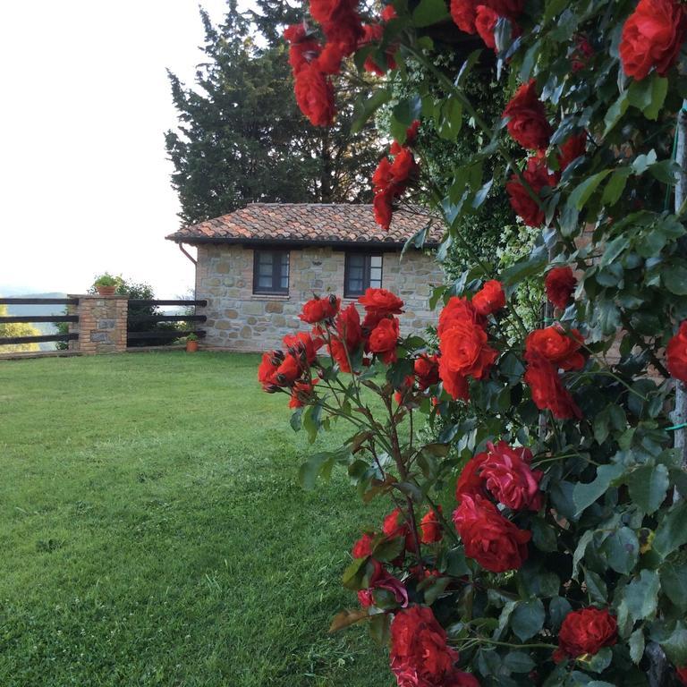 Agriturismo La Bicocca - Apt. "Il Leccio" Castel Rigone الغرفة الصورة